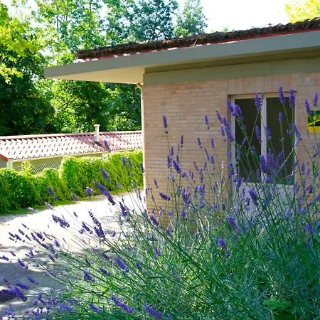 Campsite Colleverde 3*